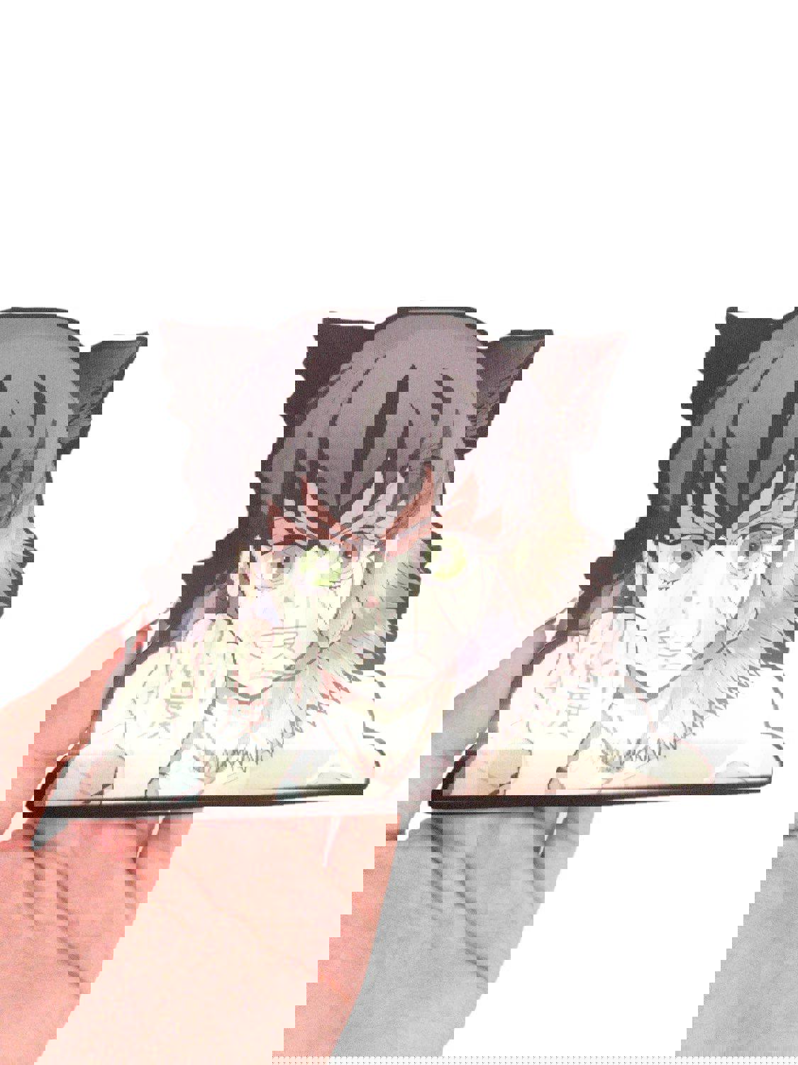 Inosuke DS slayer 3D Motion Peeker Sticker