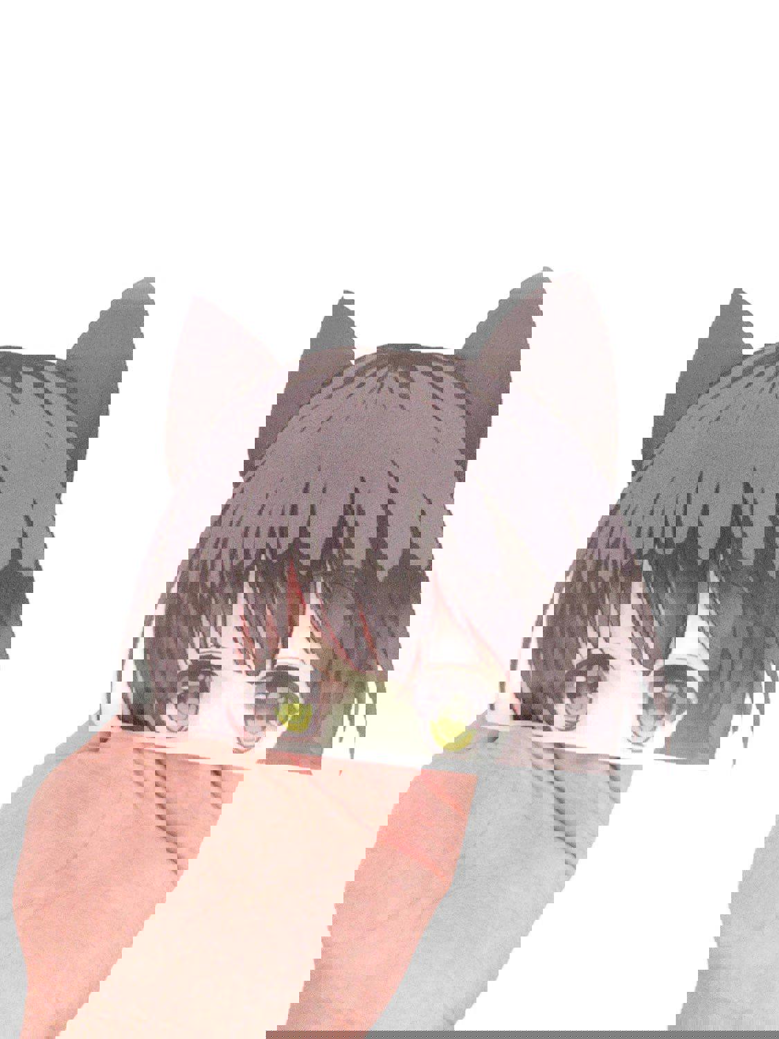 Neko Girl 3D Motion Peeker Sticker