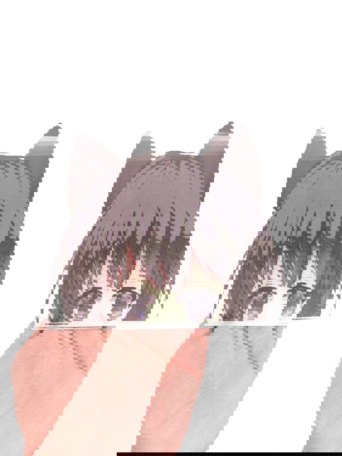Neko Girl 3D Motion Peeker Sticker