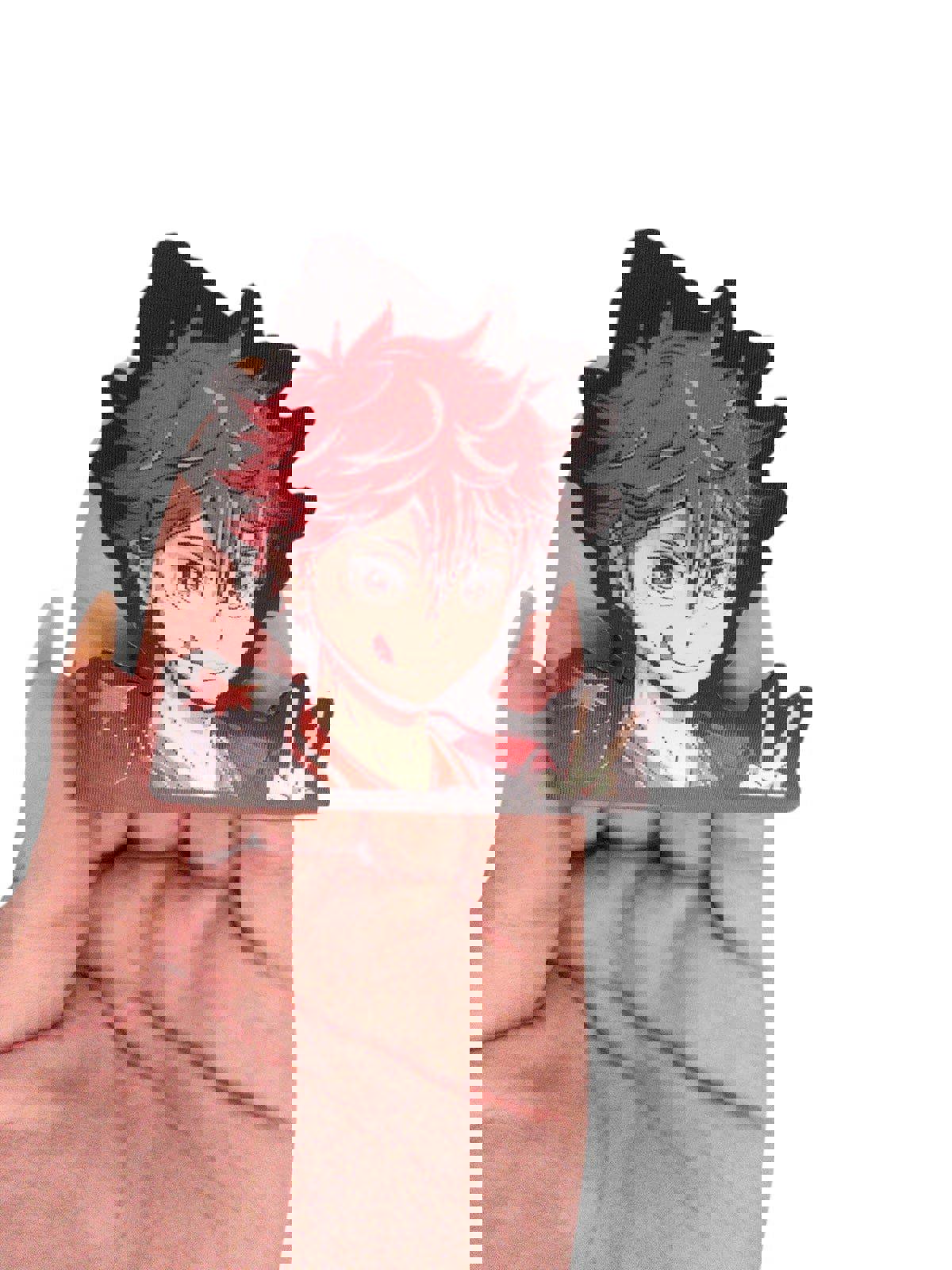 Shoyo and Tobio Haikyu Volleyball mini 3D Motion Peeker Sticker
