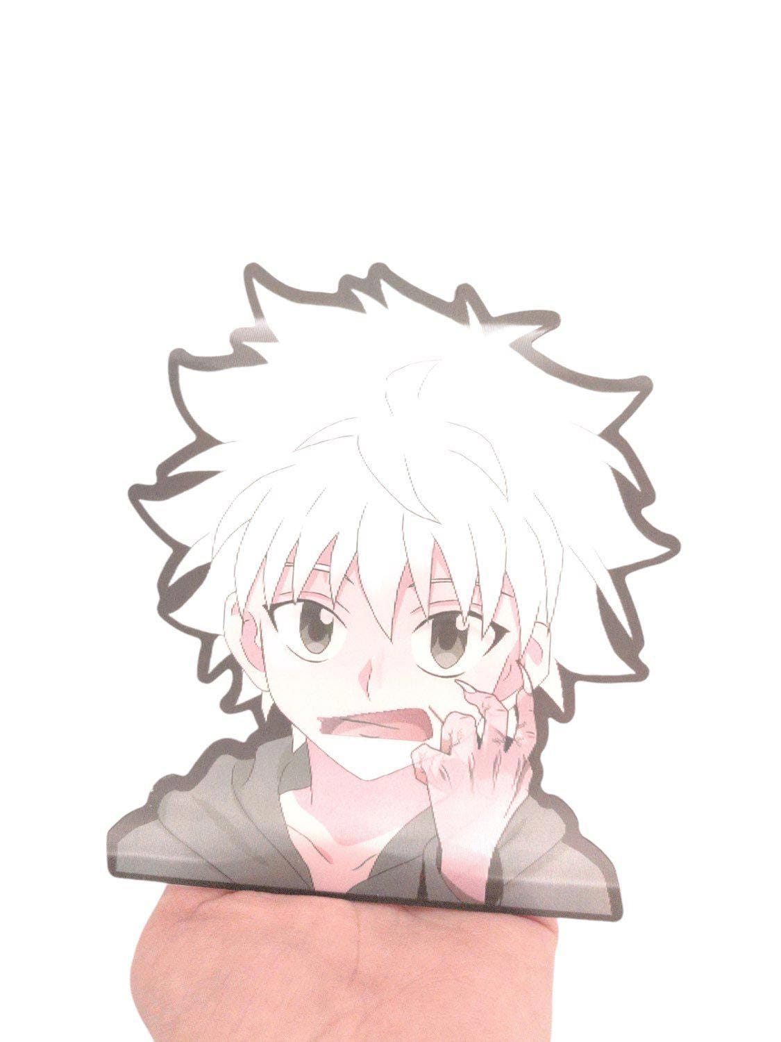 HxH 3D Motion Peeker Sticker