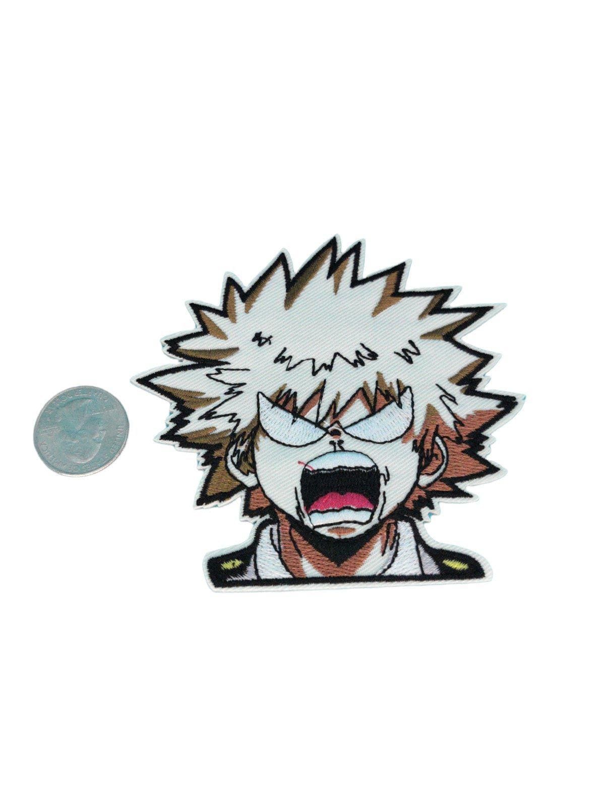 Hero MHA Iron On Patch